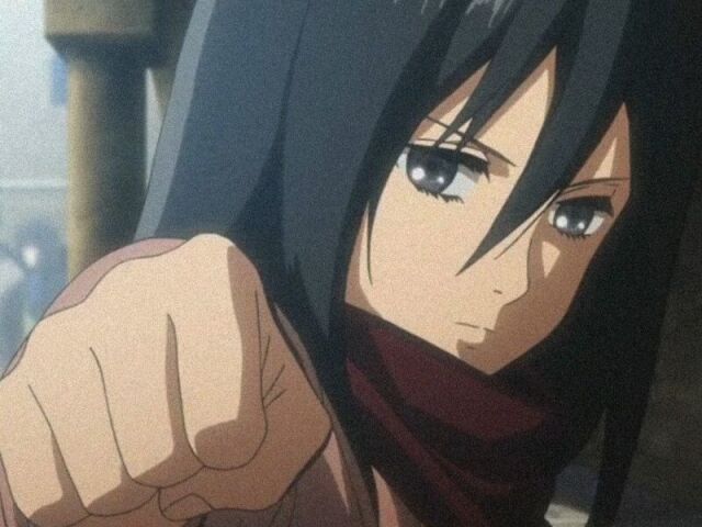 ~Mikasa~