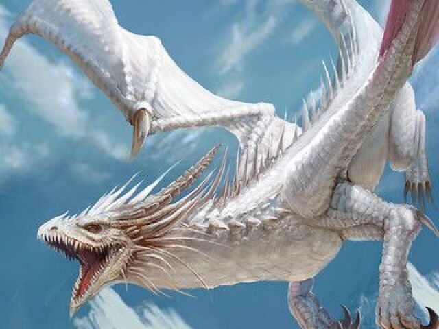 Dragão