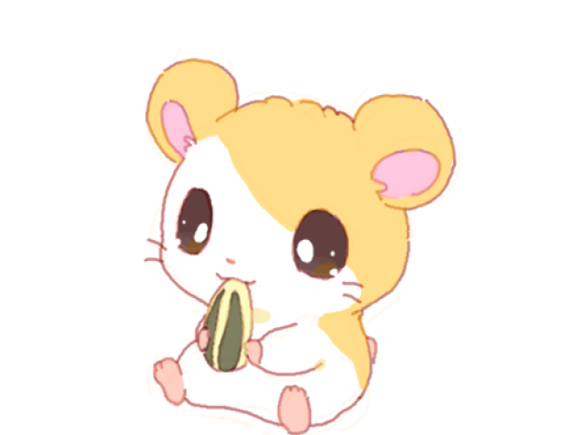 Hamster🐹🧡