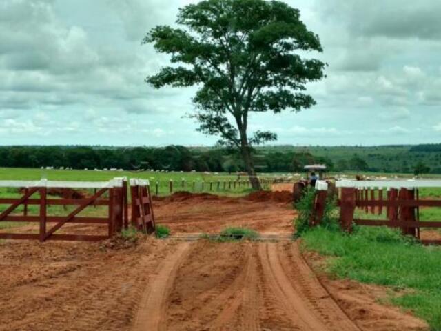 Disfrutando del campo