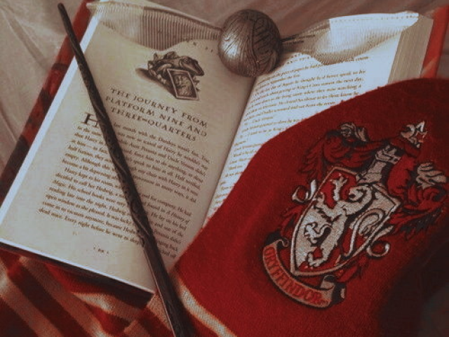 🦁Grifinória/Gryffindor🦁