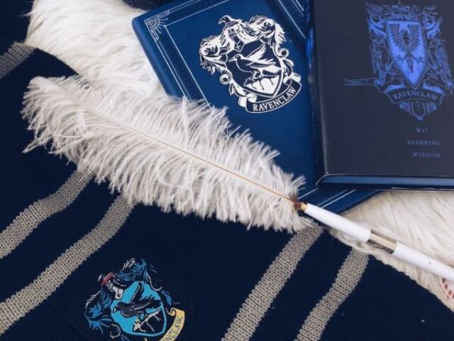 🦅Corvinal/Ravenclaw🦅