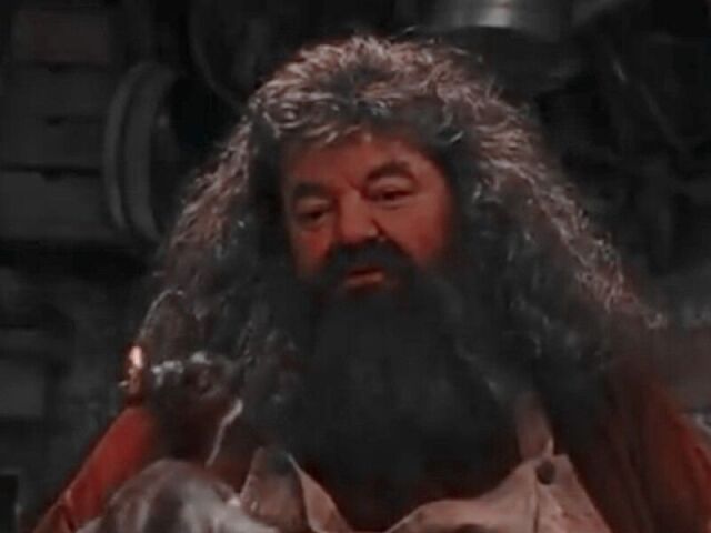 Hagrid