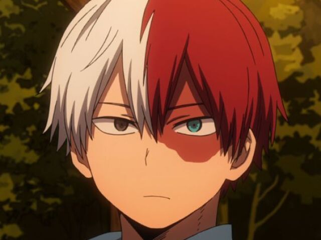 todoroki