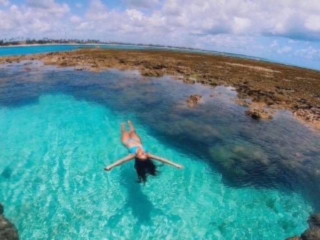 Porto de galinhas