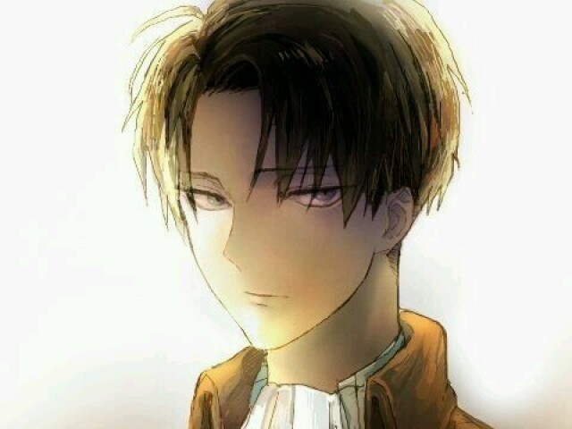 Levi