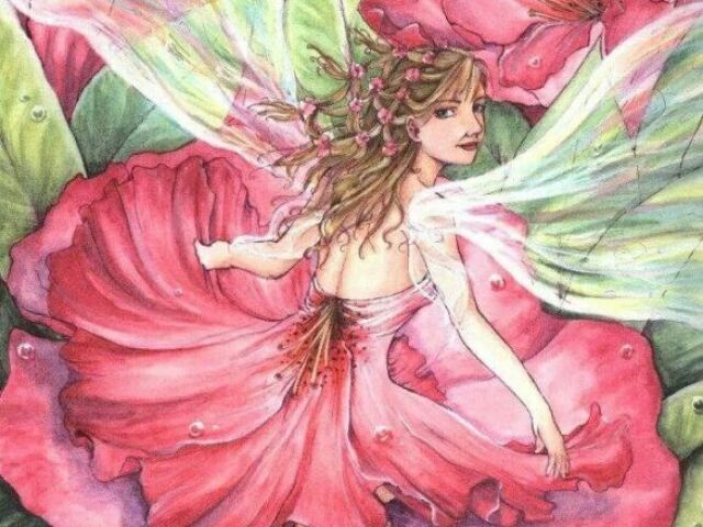 🌷Fada das flores🌷