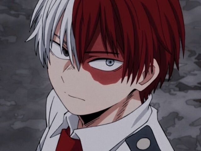 Todoroki/Shoto