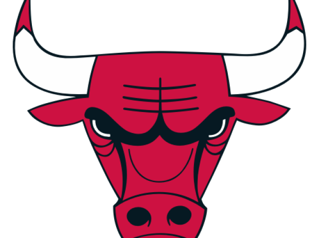 Chicago Bulls