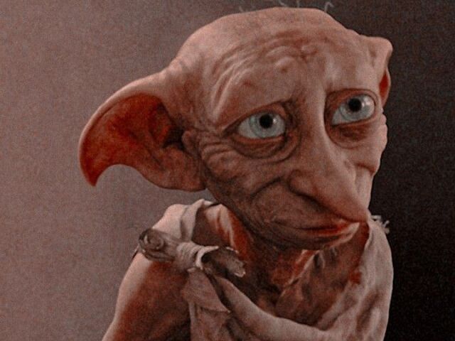 👑Dobby👑