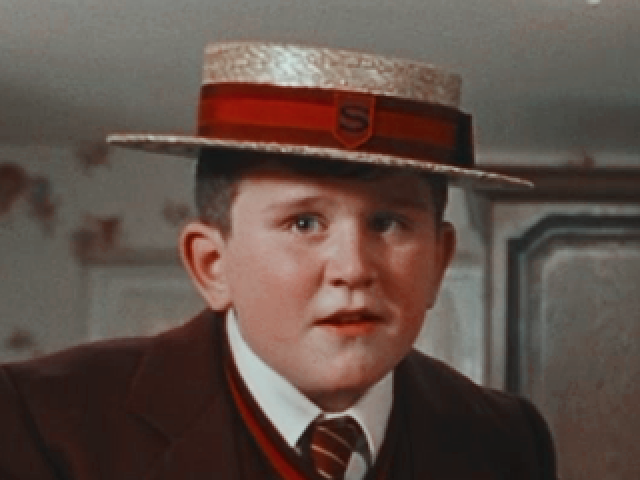 👑Dudley Dursley👑