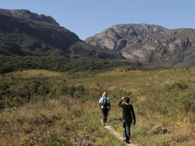 Ecologia ou Biologia de campo