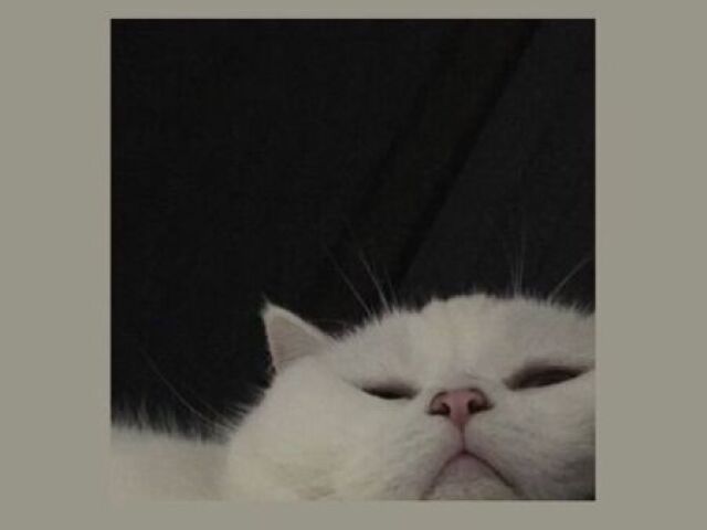 Ñ gostei;-;