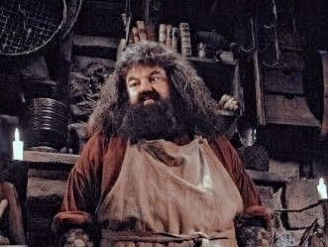 Hagrid