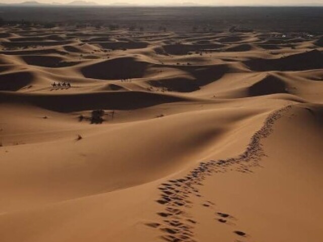 Deserto