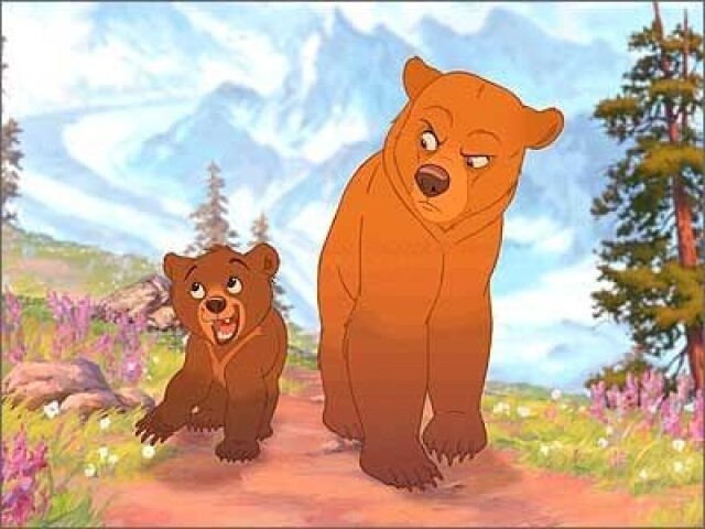 Urso