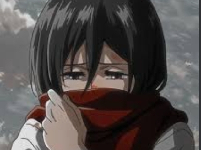 Mikasa