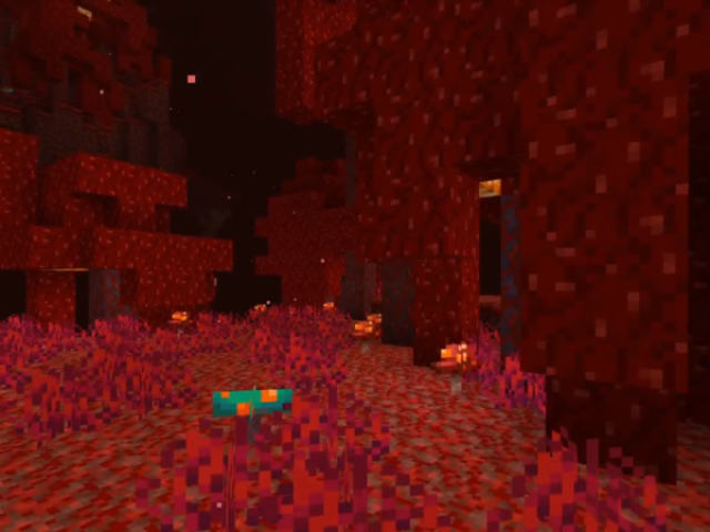 Nether