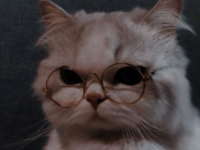 Fofo :3