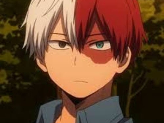 Shoto Todoroki