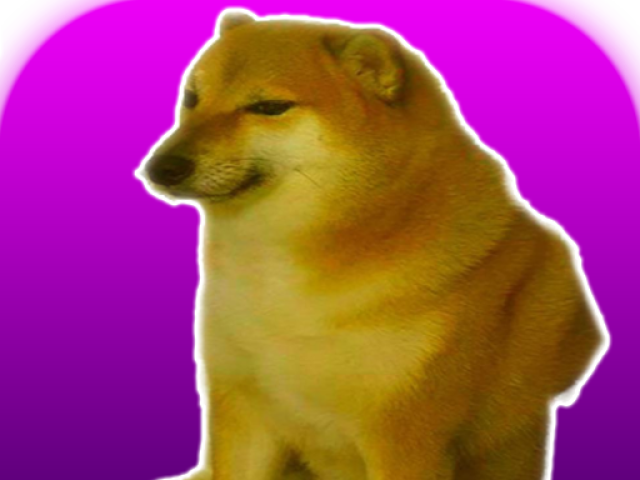 memes do doge