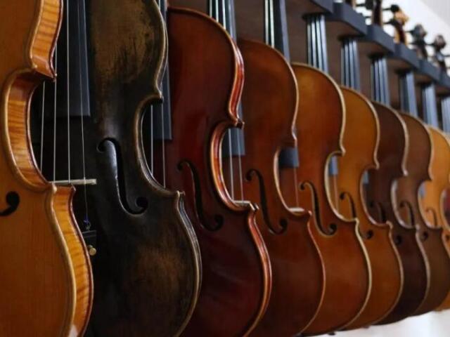 • Violino