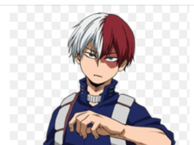 Todoroki óbvio