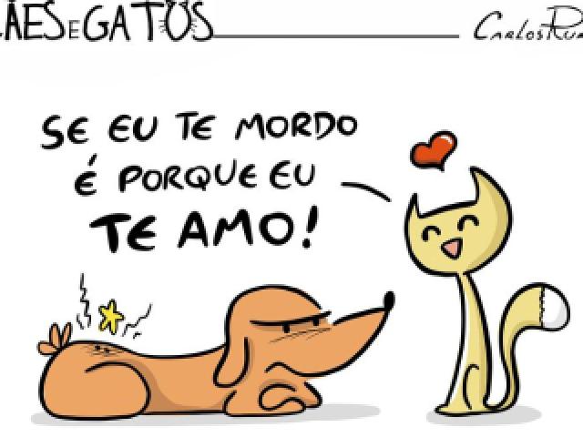 Cães e Gatos