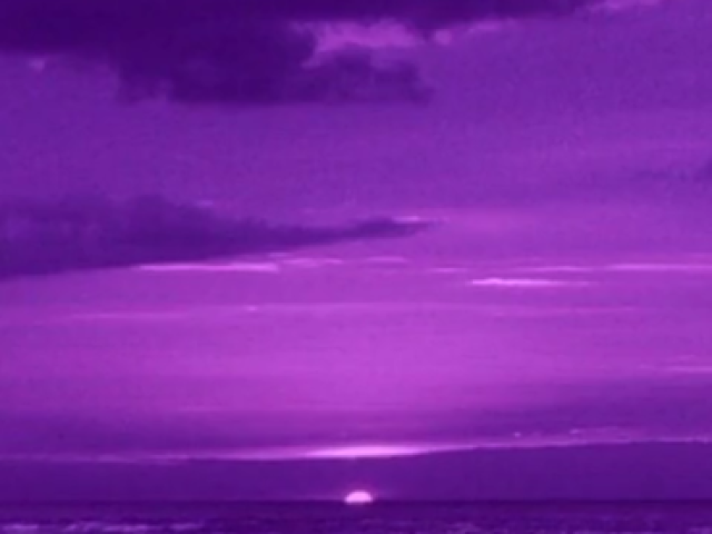 Roxo