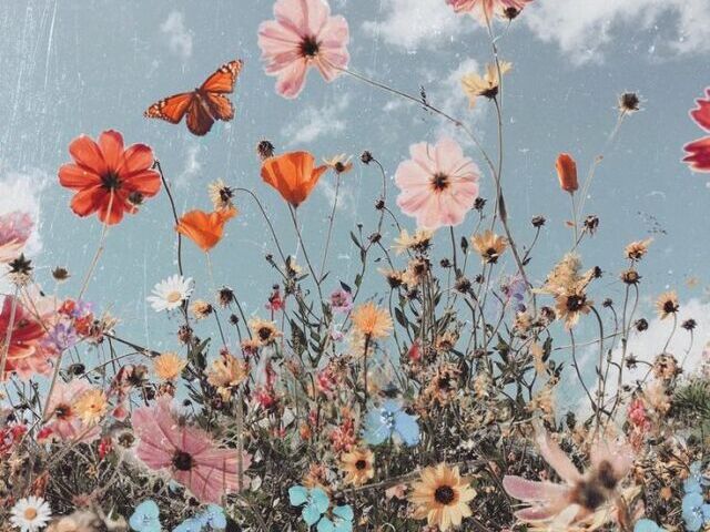 Primavera