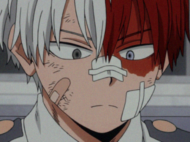 Shoto Todoroki