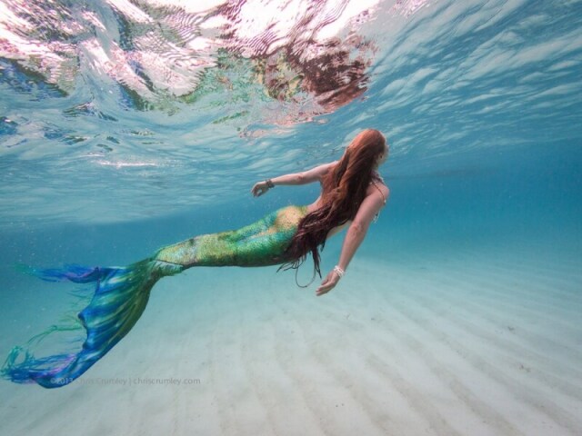 Que casa oque menina, eu quero é ser livre e explorar o oceano.