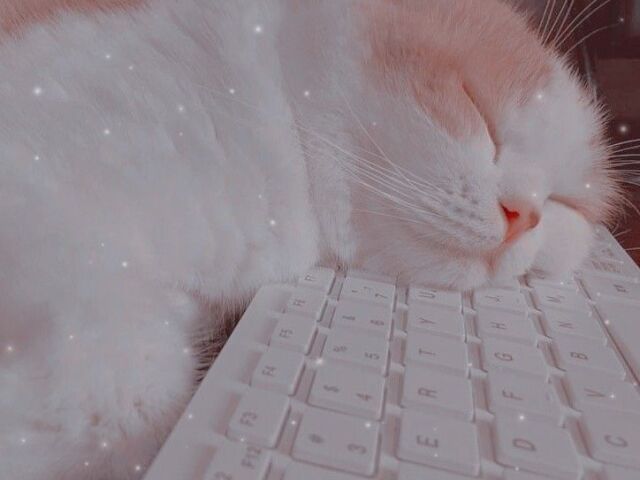 Lindoo