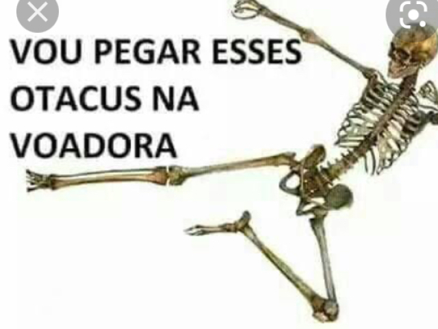 Não gosto de nenhum