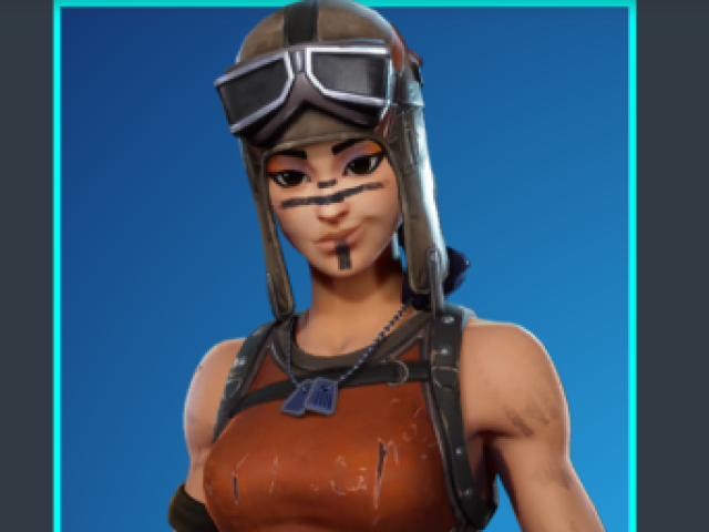 RENEGADE RAIDER