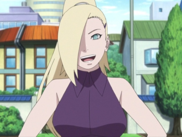 Florista Ninja