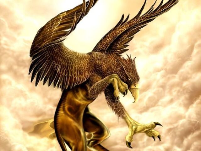 Grifo