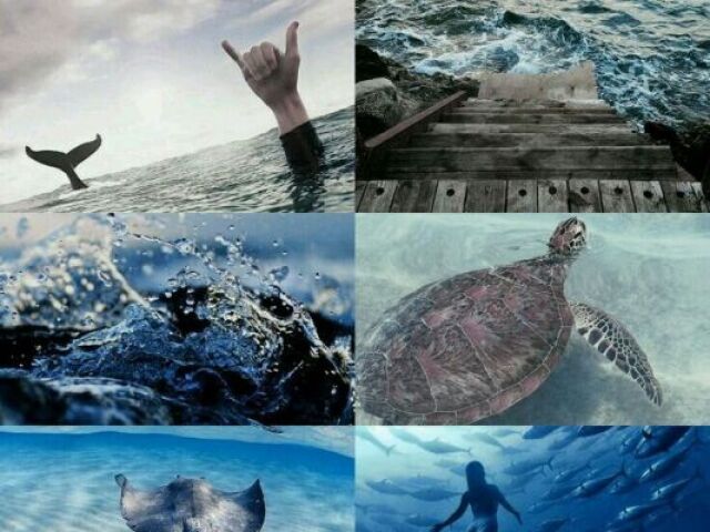 uma sereia menor que eu