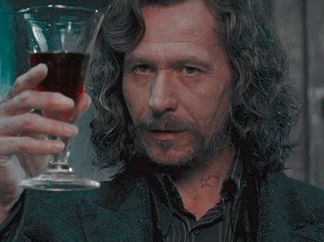 Sirius Black. 🐕🦺🍷