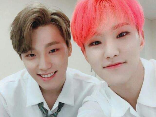 dino/hoshi