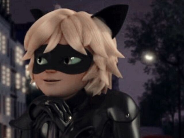 Cat noir