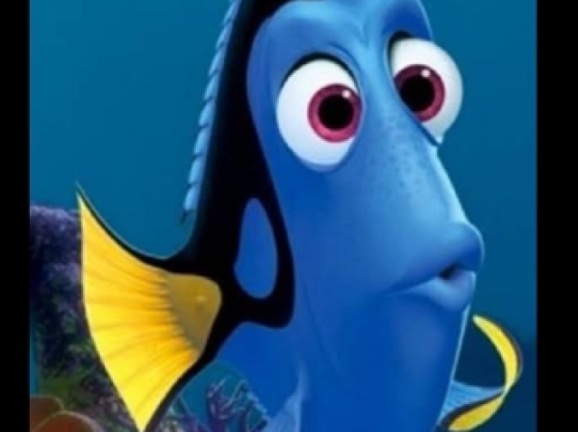 A dory, esquecida igual eu