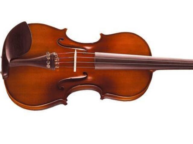 Violino