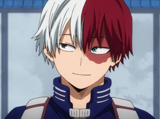 Shoto Todoroki