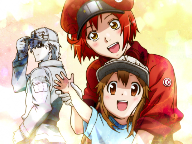 Cells at work