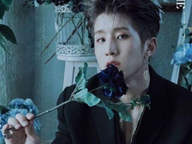 Jinjin