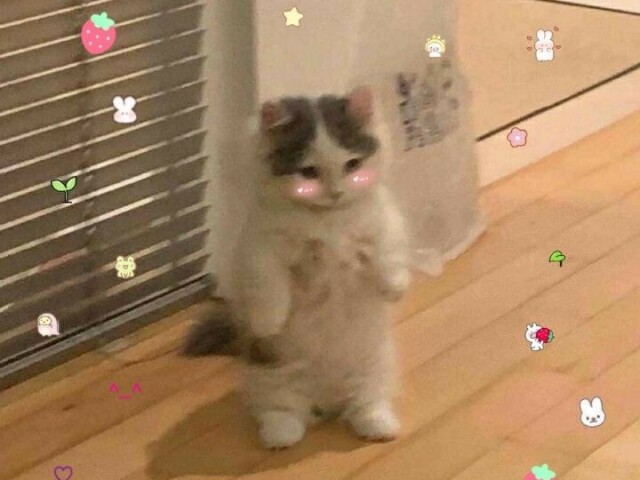๐๐๐