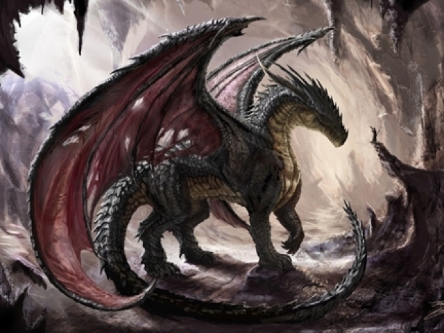 Qual dragão você teria de estimação?