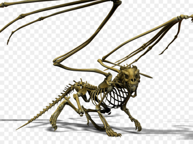 Rei dragão