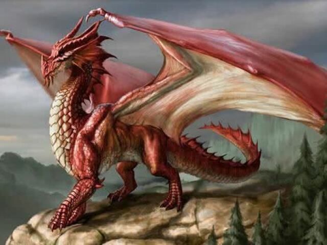 Dragão do fogo